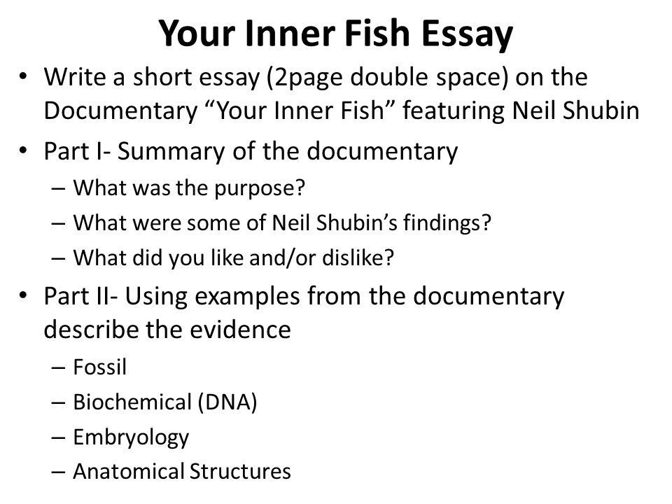Fish Essays